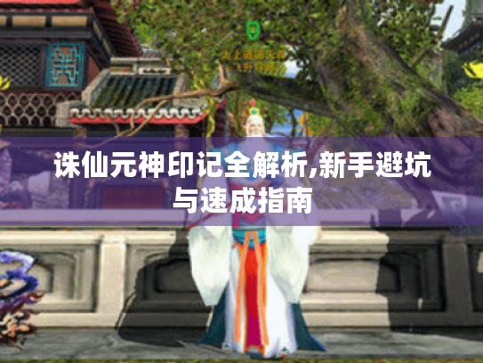 诛仙元神印记全解析,新手避坑与速成指南 诛仙元神印记全解析,新手避坑与速成指南