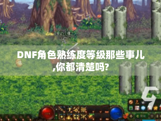 DNF角色熟练度等级那些事儿,你都清楚吗? DNF角色熟练度等级那些事儿,你都清楚吗?