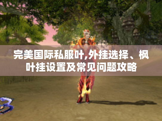 完美国际私服叶,外挂选择、枫叶挂设置及常见问题攻略