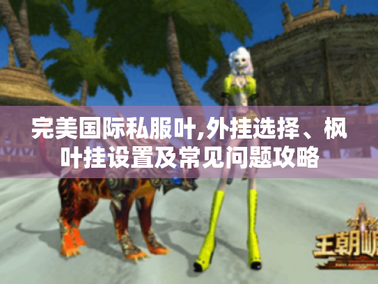 完美国际私服叶,外挂选择、枫叶挂设置及常见问题攻略