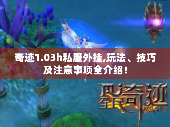 奇迹1.03h私服外挂,玩法、技巧及注意事项全介绍! 奇迹1.03h私服外挂,玩法、技巧及注意事项全介绍!
