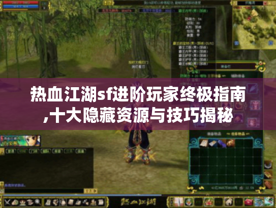 热血江湖sf进阶玩家终极指南,十大隐藏资源与技巧揭秘 热血江湖sf进阶玩家终极指南,十大隐藏资源与技巧揭秘