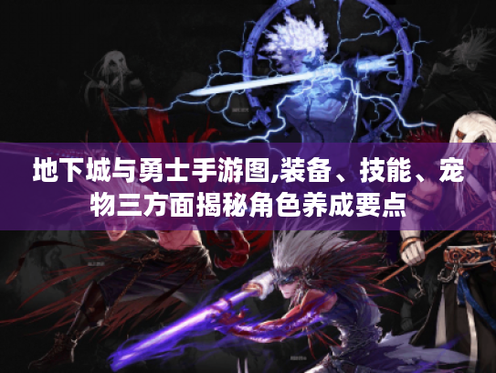 地下城与勇士手游图,装备、技能、宠物三方面揭秘角色养成要点 地下城与勇士手游图,装备、技能、宠物三方面揭秘角色养成要点