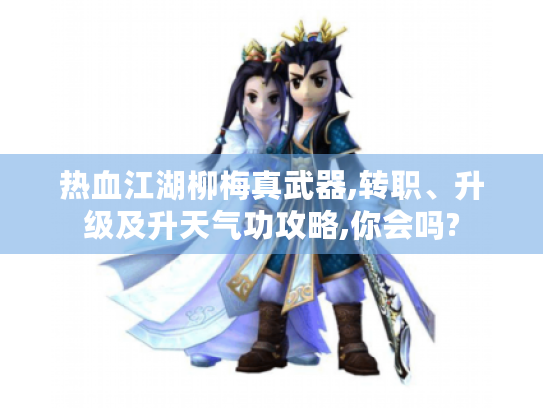 热血江湖柳梅真武器,转职、升级及升天气功攻略,你会吗?