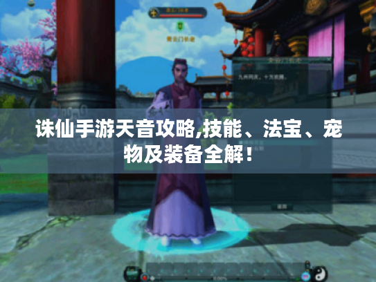 诛仙手游天音攻略,技能、法宝、宠物及装备全解! 诛仙手游天音攻略,技能、法宝、宠物及装备全解!