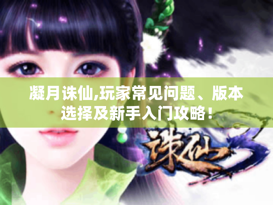 凝月诛仙,玩家常见问题、版本选择及新手入门攻略! 凝月诛仙,玩家常见问题、版本选择及新手入门攻略!