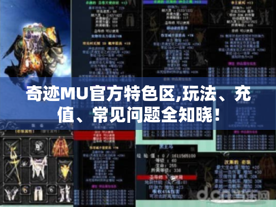 奇迹MU官方特色区,玩法、充值、常见问题全知晓! 奇迹MU官方特色区,玩法、充值、常见问题全知晓!