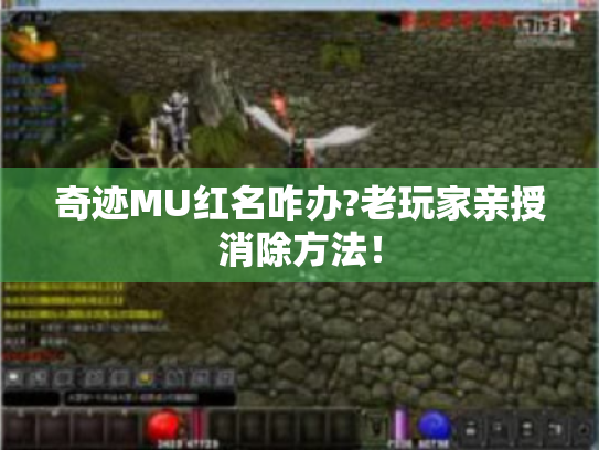 奇迹MU红名咋办?老玩家亲授消除方法! 奇迹MU红名咋办?老玩家亲授消除方法!