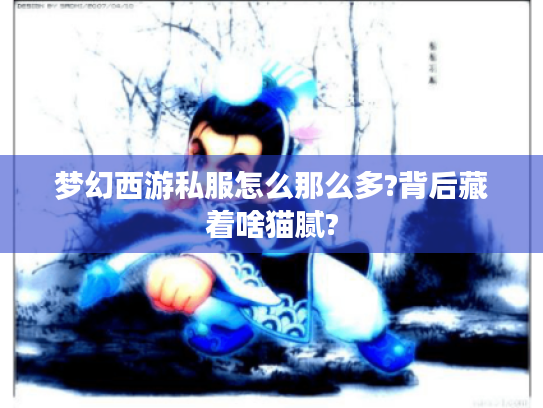 梦幻西游私服怎么那么多?背后藏着啥猫腻?