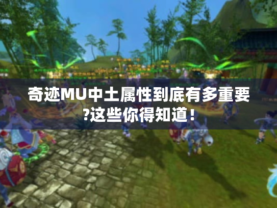奇迹MU中土属性到底有多重要?这些你得知道! 奇迹MU中土属性到底有多重要?这些你得知道!