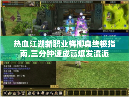 热血江湖新职业梅柳真终极指南,三分钟速成高爆发流派 热血江湖新职业梅柳真终极指南,三分钟速成高爆发流派