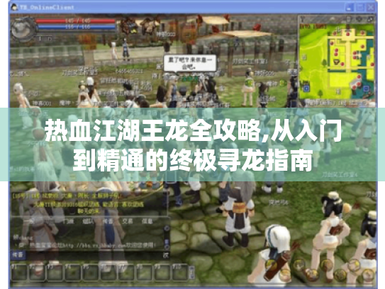 热血江湖王龙全攻略,从入门到精通的终极寻龙指南 热血江湖王龙全攻略,从入门到精通的终极寻龙指南