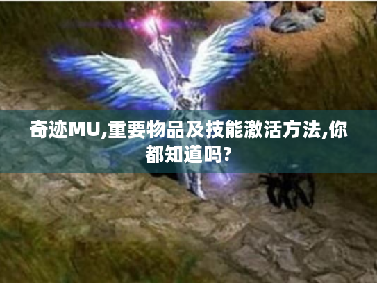 奇迹MU,重要物品及技能激活方法,你都知道吗? 奇迹MU,重要物品及技能激活方法,你都知道吗?