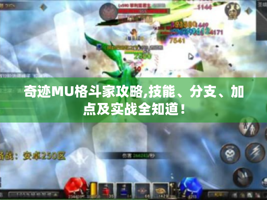 奇迹MU格斗家攻略,技能、分支、加点及实战全知道! 奇迹MU格斗家攻略,技能、分支、加点及实战全知道!