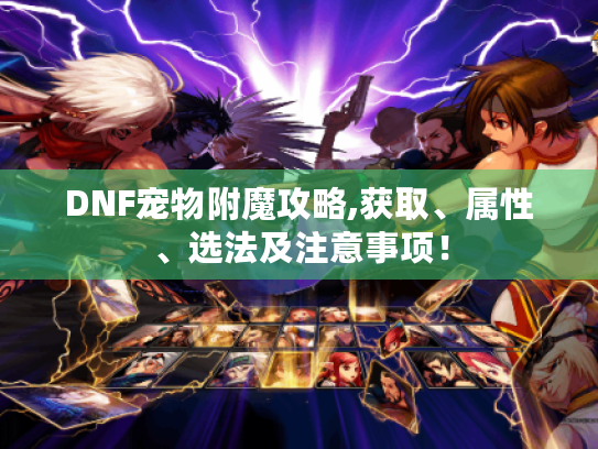 DNF宠物附魔攻略,获取、属性、选法及注意事项! DNF宠物附魔攻略,获取、属性、选法及注意事项!