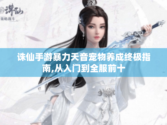 诛仙手游暴力天音宠物养成终极指南,从入门到全服前十