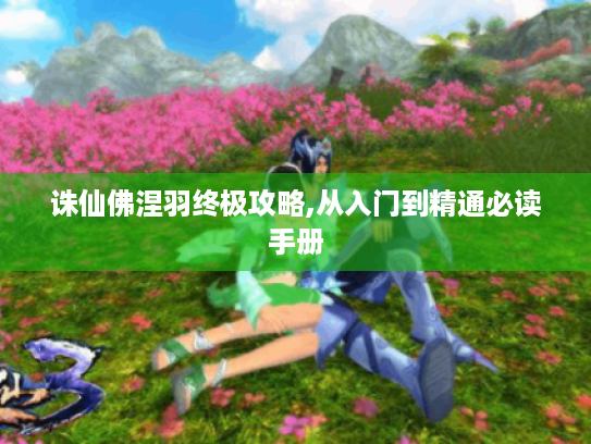 诛仙佛涅羽终极攻略,从入门到精通必读手册