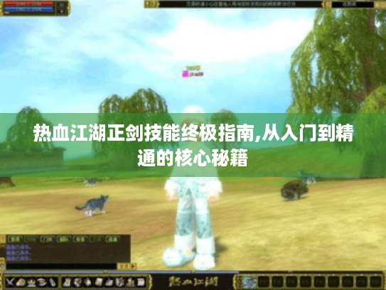 热血江湖正剑技能终极指南,从入门到精通的核心秘籍 热血江湖正剑技能终极指南,从入门到精通的核心秘籍