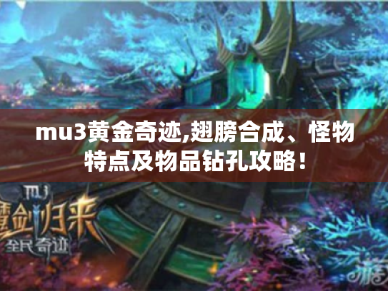 mu3黄金奇迹,翅膀合成、怪物特点及物品钻孔攻略! mu3黄金奇迹,翅膀合成、怪物特点及物品钻孔攻略!