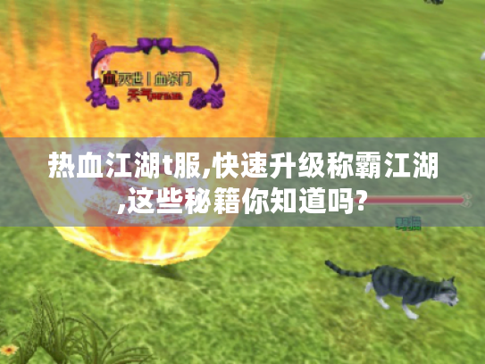 热血江湖t服,快速升级称霸江湖,这些秘籍你知道吗? 热血江湖t服,快速升级称霸江湖,这些秘籍你知道吗?