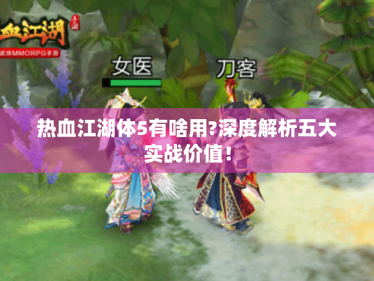 热血江湖体5有啥用?深度解析五大实战价值! 热血江湖体5有啥用?深度解析五大实战价值!