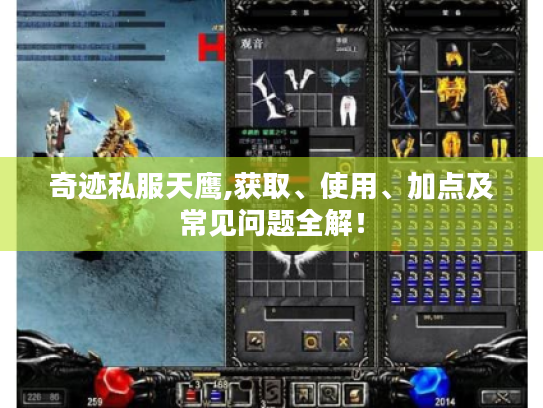 奇迹私服天鹰,获取、使用、加点及常见问题全解! 奇迹私服天鹰,获取、使用、加点及常见问题全解!