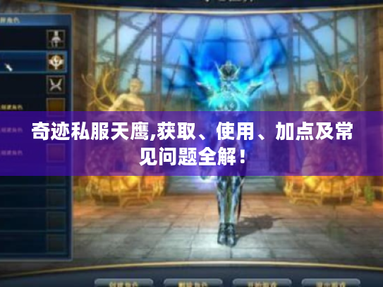 奇迹私服天鹰,获取、使用、加点及常见问题全解! 奇迹私服天鹰,获取、使用、加点及常见问题全解!