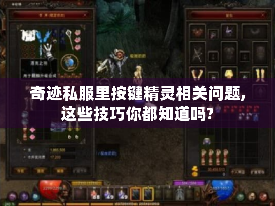 奇迹私服里按键精灵相关问题,这些技巧你都知道吗? 奇迹私服里按键精灵相关问题,这些技巧你都知道吗?