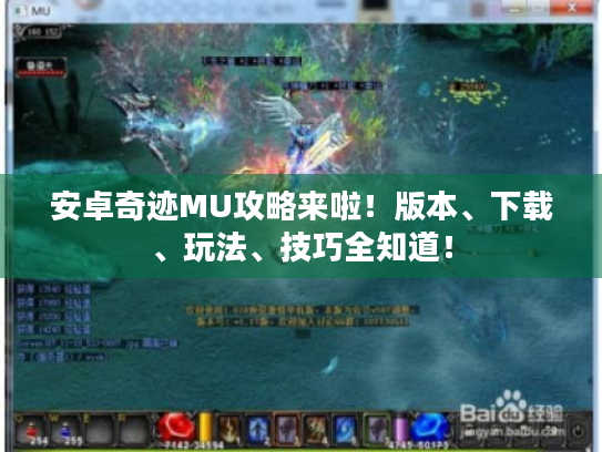 安卓奇迹MU攻略来啦！版本、下载、玩法、技巧全知道！