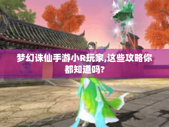梦幻诛仙手游小R玩家,这些攻略你都知道吗? 梦幻诛仙手游小R玩家,这些攻略你都知道吗?