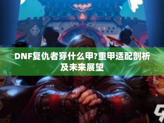 DNF复仇者穿什么甲?重甲适配剖析及未来展望