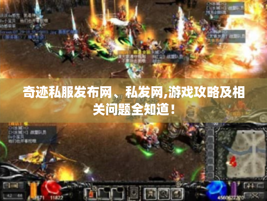 奇迹私服发布网、私发网,游戏攻略及相关问题全知道！