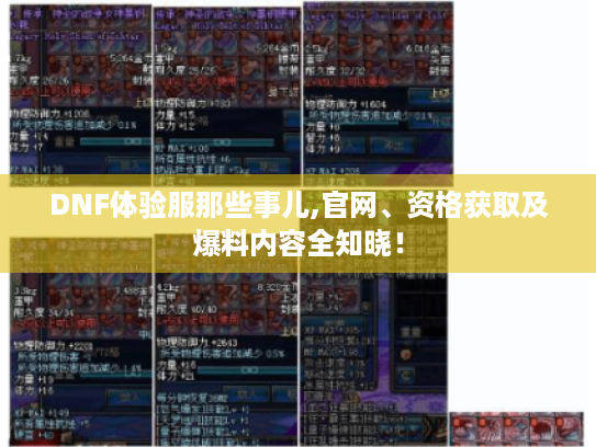 DNF体验服那些事儿,官网、资格获取及爆料内容全知晓! DNF体验服那些事儿,官网、资格获取及爆料内容全知晓!
