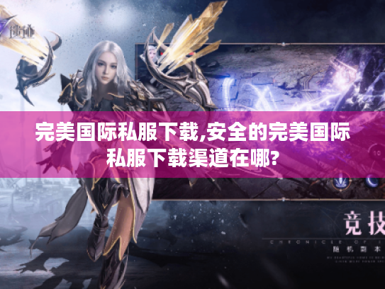 完美国际私服下载,安全的完美国际私服下载渠道在哪?