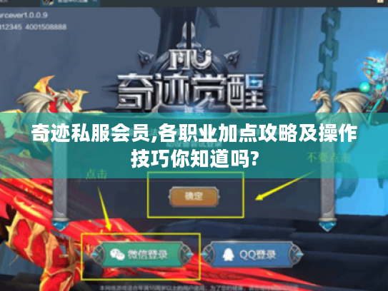 奇迹私服会员,各职业加点攻略及操作技巧你知道吗? 奇迹私服会员,各职业加点攻略及操作技巧你知道吗?