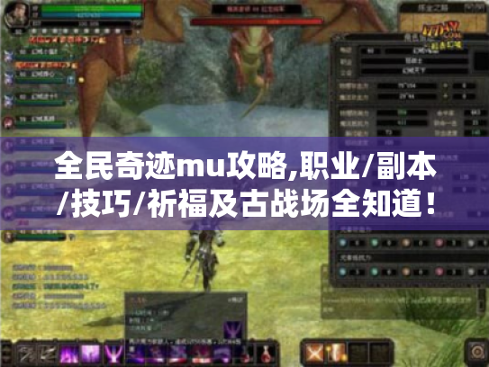 全民奇迹mu攻略,职业/副本/技巧/祈福及古战场全知道! 全民奇迹mu攻略,职业/副本/技巧/祈福及古战场全知道!