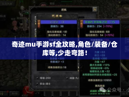 奇迹mu手游sf全攻略,角色/装备/仓库等,少走弯路! 奇迹mu手游sf全攻略,角色/装备/仓库等,少走弯路!