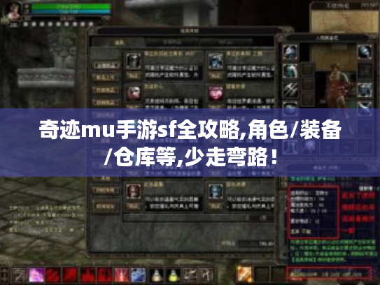 奇迹mu手游sf全攻略,角色/装备/仓库等,少走弯路! 奇迹mu手游sf全攻略,角色/装备/仓库等,少走弯路!