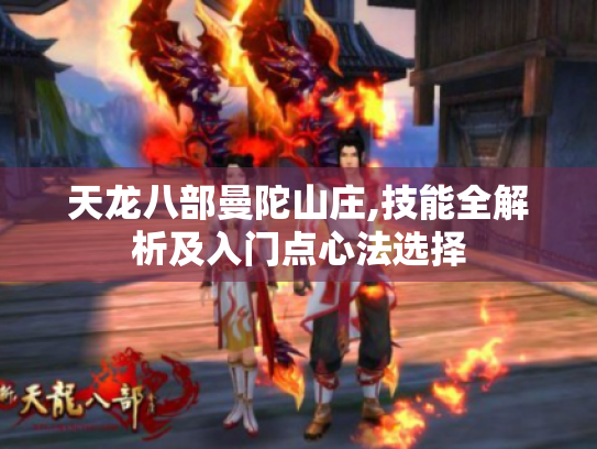 天龙八部曼陀山庄,技能全解析及入门点心法选择 天龙八部曼陀山庄,技能全解析及入门点心法选择