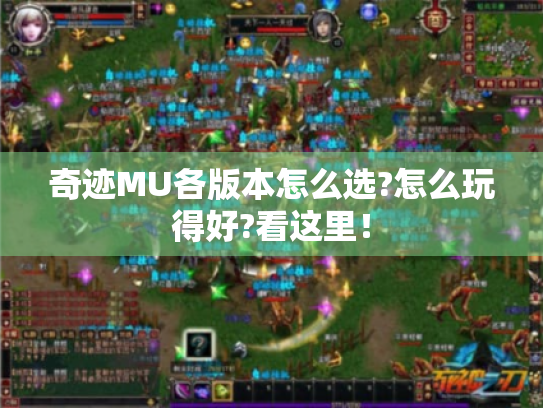 奇迹MU各版本怎么选?怎么玩得好?看这里! 奇迹MU各版本怎么选?怎么玩得好?看这里!