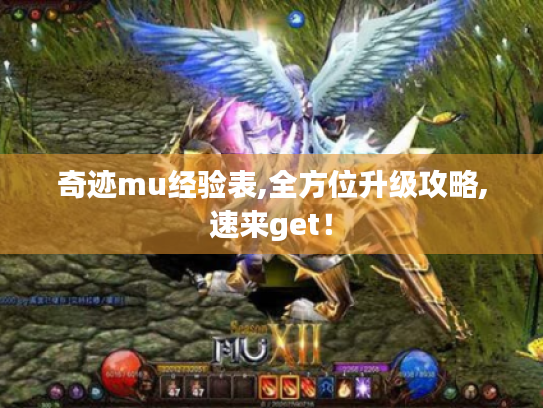奇迹mu经验表,全方位升级攻略,速来get！