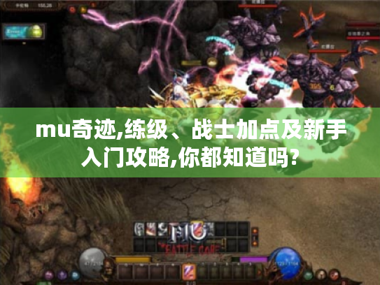 mu奇迹,练级、战士加点及新手入门攻略,你都知道吗? mu奇迹,练级、战士加点及新手入门攻略,你都知道吗?