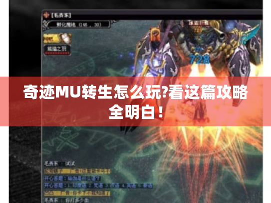 奇迹MU转生怎么玩?看这篇攻略全明白！