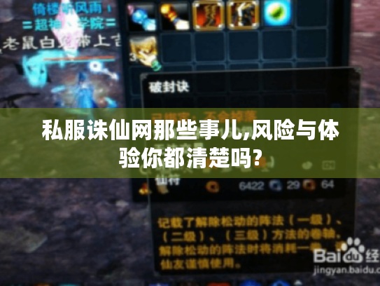 私服诛仙网那些事儿,风险与体验你都清楚吗?
