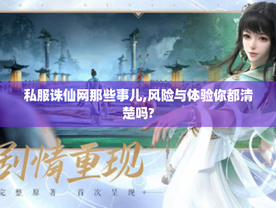 私服诛仙网那些事儿,风险与体验你都清楚吗?
