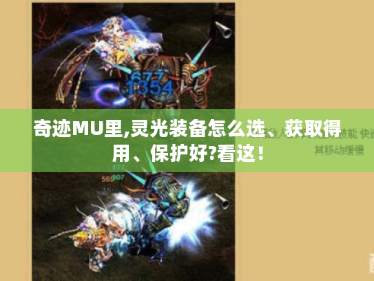 奇迹MU里,灵光装备怎么选、获取得用、保护好?看这! 奇迹MU里,灵光装备怎么选、获取得用、保护好?看这!