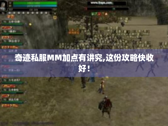 奇迹私服MM加点有讲究,这份攻略快收好! 奇迹私服MM加点有讲究,这份攻略快收好!