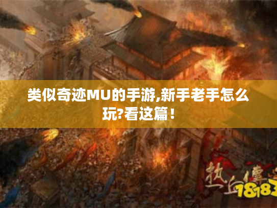 类似奇迹MU的手游,新手老手怎么玩?看这篇！