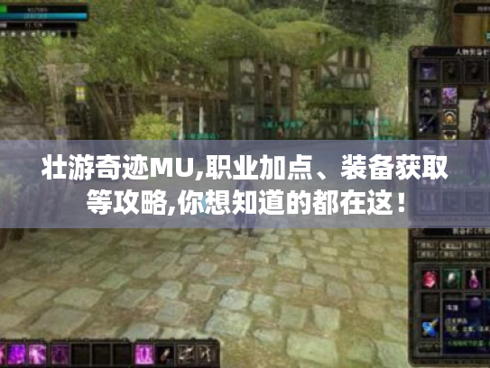 壮游奇迹MU,职业加点、装备获取等攻略,你想知道的都在这! 壮游奇迹MU,职业加点、装备获取等攻略,你想知道的都在这!