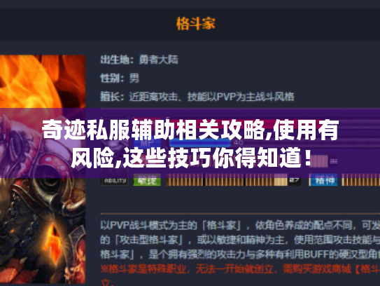 奇迹私服辅助相关攻略,使用有风险,这些技巧你得知道! 奇迹私服辅助相关攻略,使用有风险,这些技巧你得知道!